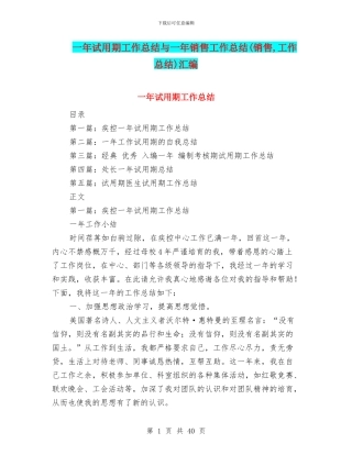 一年试用期工作总结与一年销售工作总结汇编