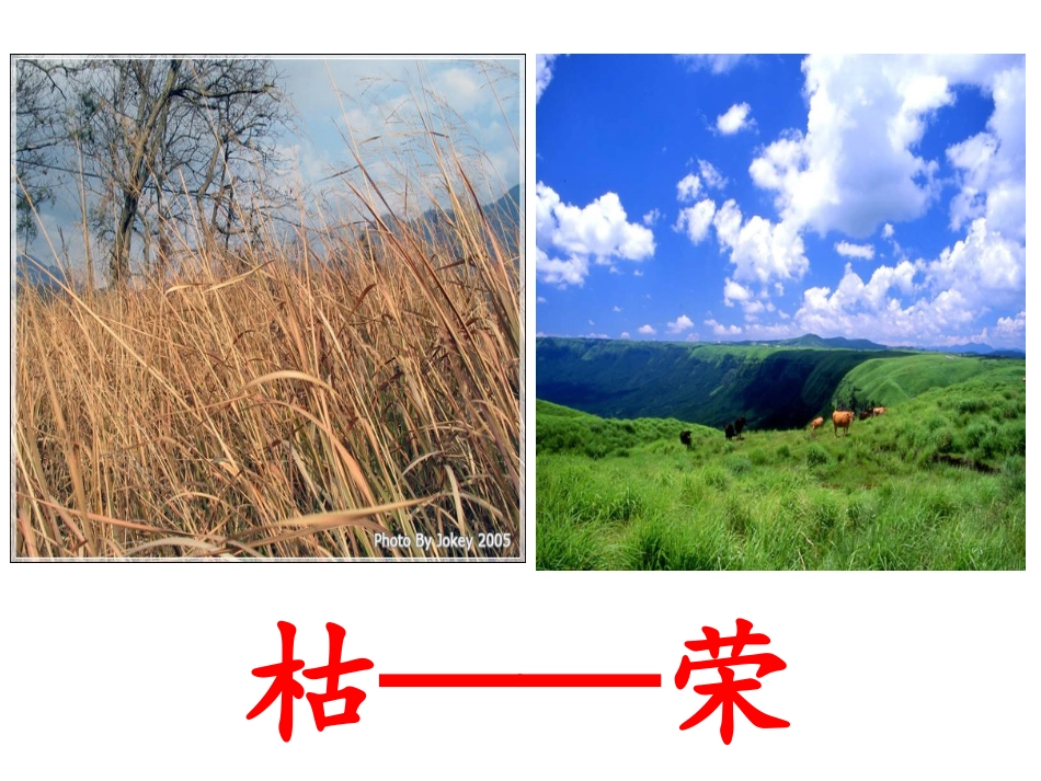 一下《反义词歌》复习_第3页
