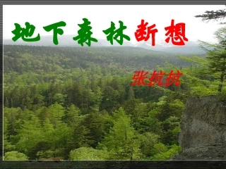 地下森林断想课件
