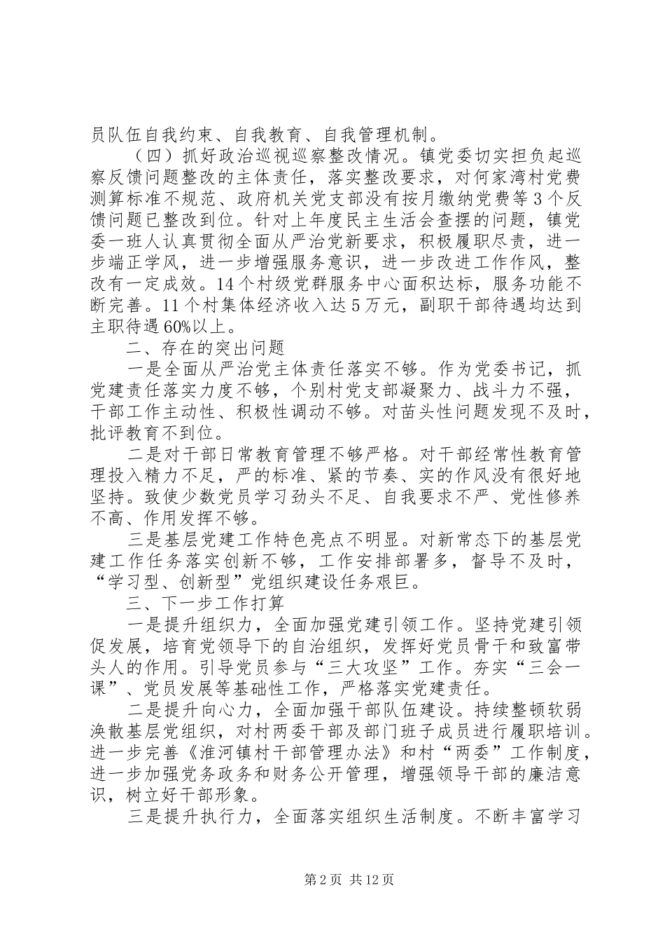 乡镇党支部书记述职报告5篇_第2页