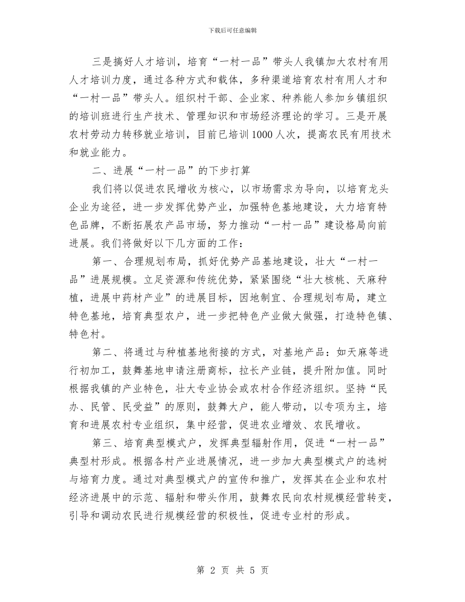 一村一品发展现状调查报告与一次函数知识点总结汇编_第2页