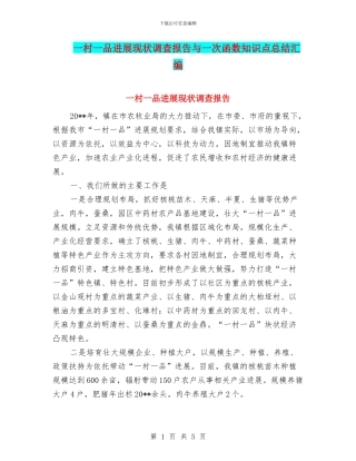 一村一品发展现状调查报告与一次函数知识点总结汇编
