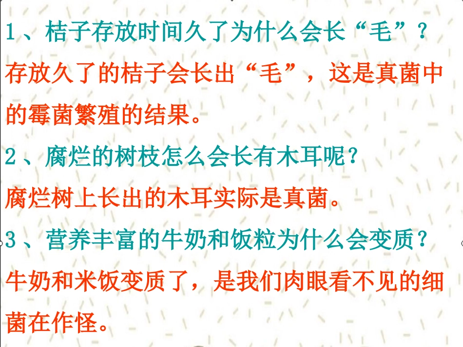 细菌、真菌的分布_第2页