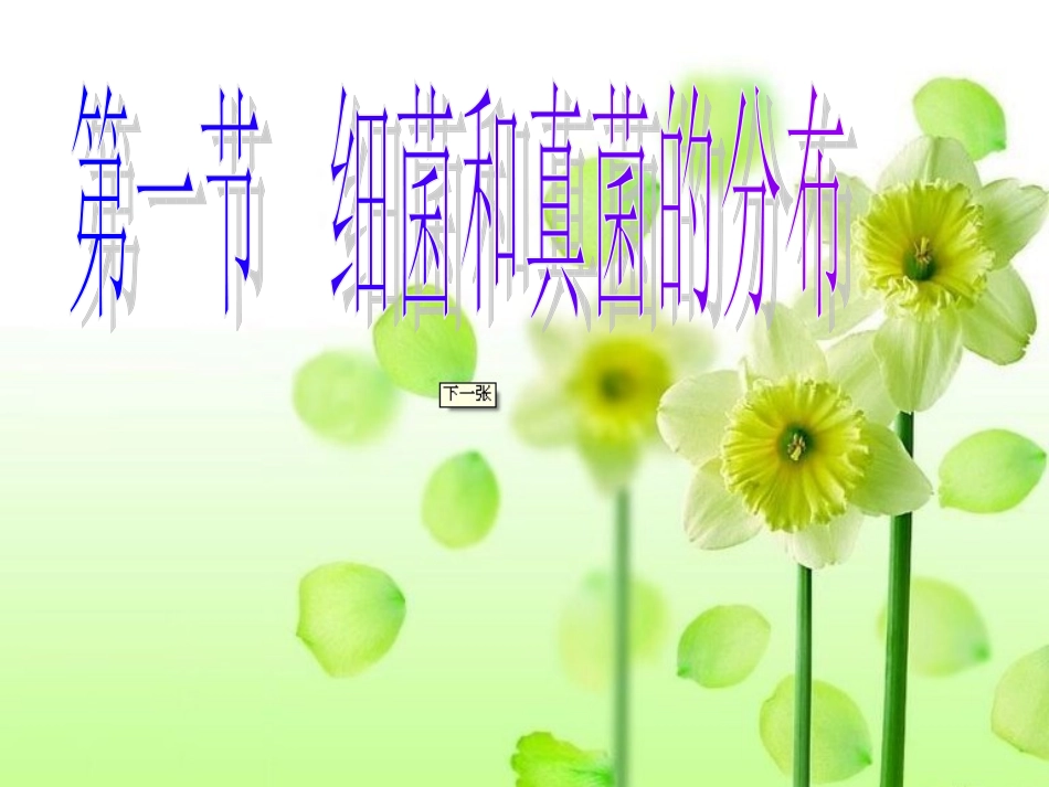 细菌、真菌的分布_第3页