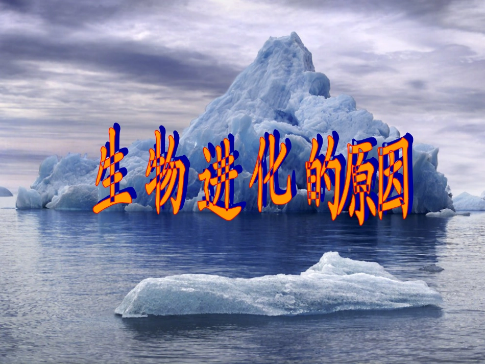 《生物进化的原因》1_第1页