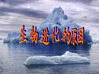 《生物进化的原因》1