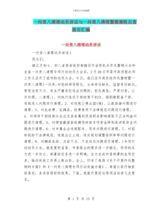 一问责八清理动员讲话与一问责八清理暨微腐败自查报告汇编