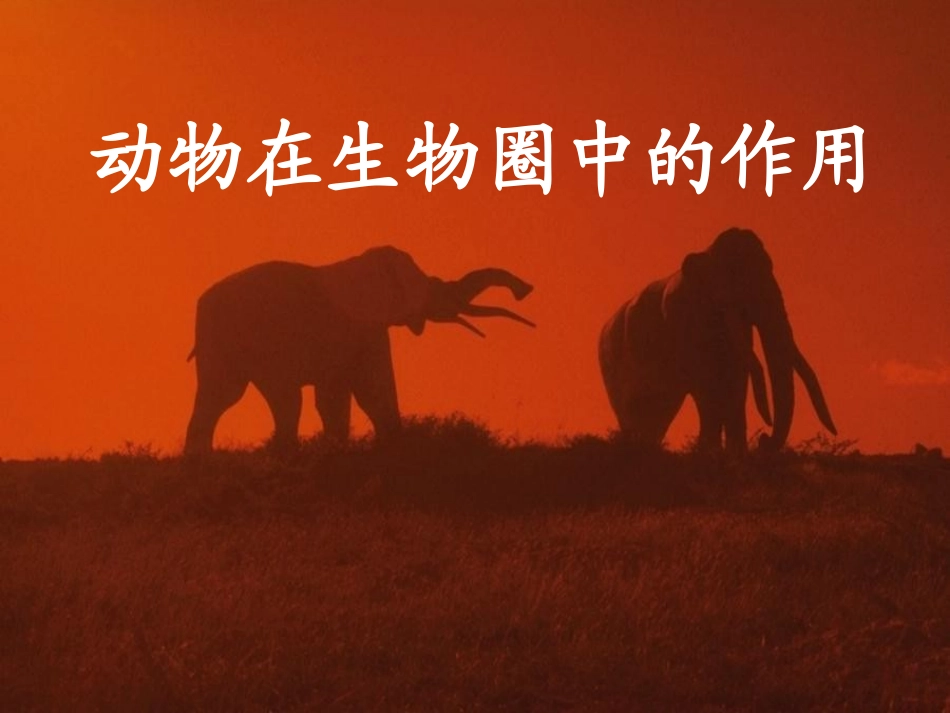 动物在自然界的作用_第1页
