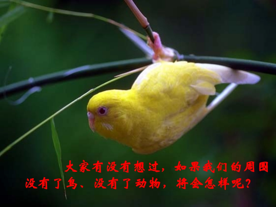 动物在自然界的作用_第3页