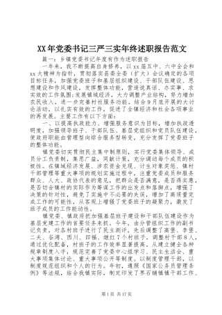 XX年党委书记三严三实年终述职报告范文