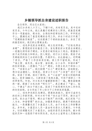 乡镇领导抓自身建设述职报告