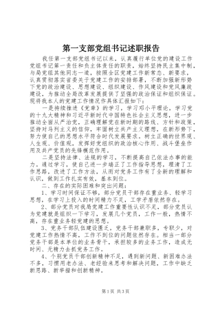 第一支部党组书记述职报告