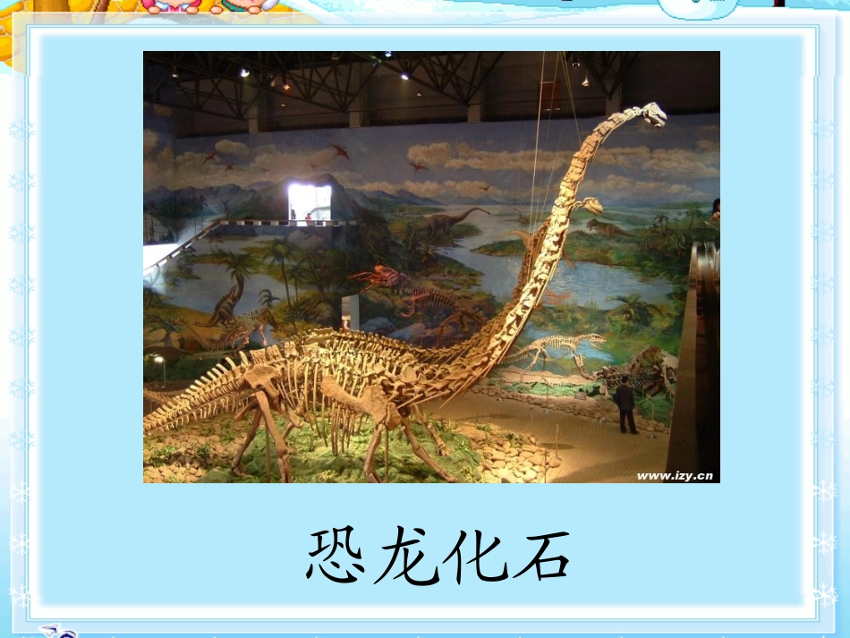新课标人教版二年级语文上册《活化石》课件_第1页