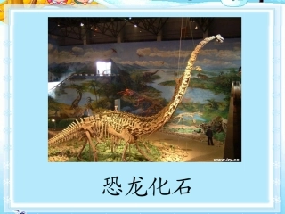 新课标人教版二年级语文上册《活化石》课件