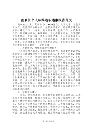 副乡长个人年终述职述廉报告范文