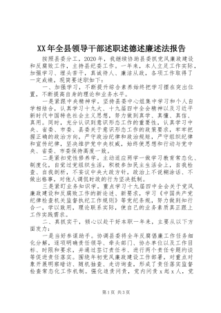 XX年全县领导干部述职述德述廉述法报告