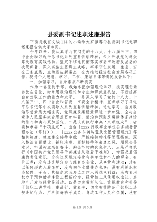 县委副书记述职述廉报告 (13)