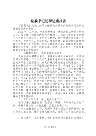 纪委书记述职述廉报告 (28)