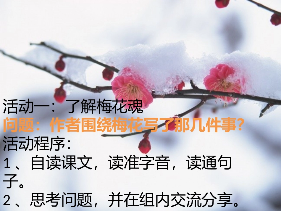 五年级语文上册第二组6梅花魂第一课时课件_第2页