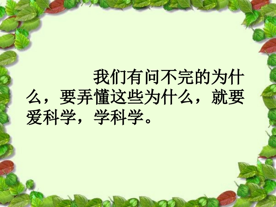 二年级上册识字8_第1页