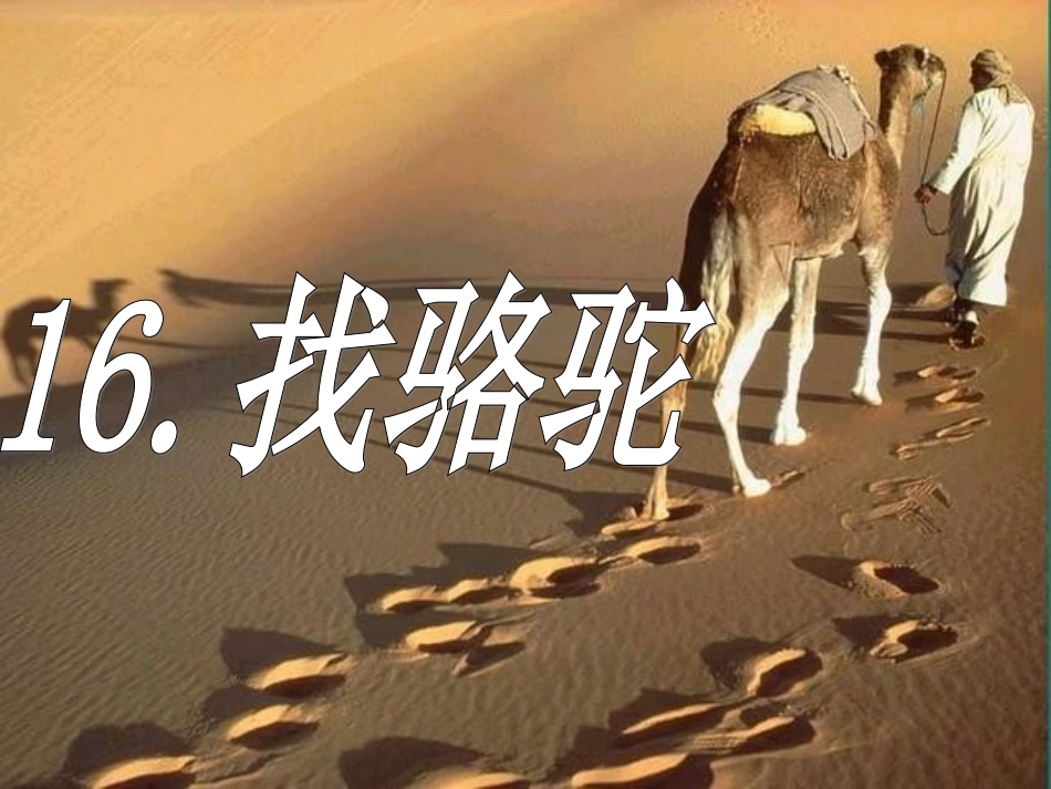 三年级语文上册第四组16找骆驼第一课时课件_第2页