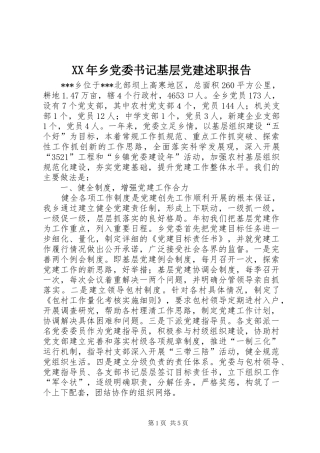 XX年乡党委书记基层党建述职报告