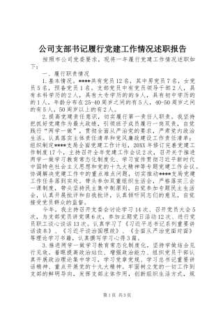 公司支部书记履行党建工作情况述职报告