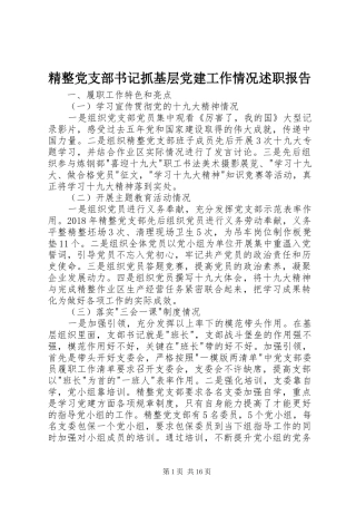 精整党支部书记抓基层党建工作情况述职报告
