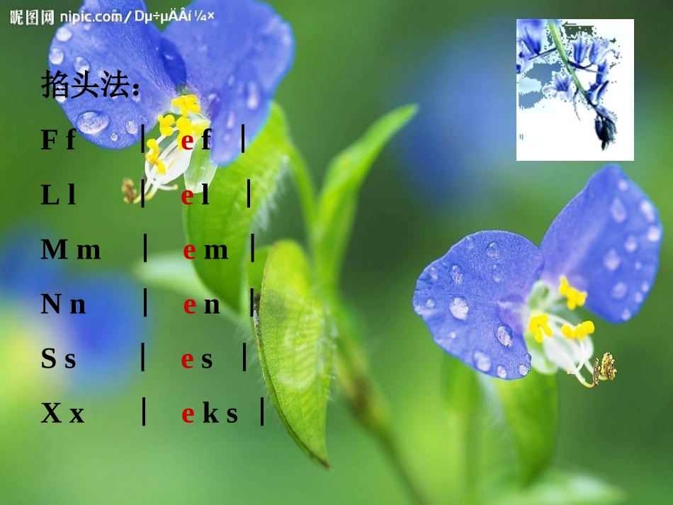 七年级英语英语音标_第3页