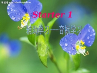 七年级英语英语音标