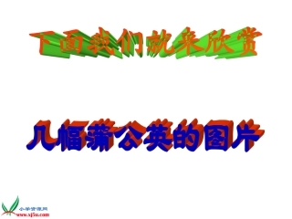三年级语文上册第一单元2课《金色的草地》