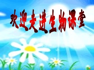 人类染色体与性别决定