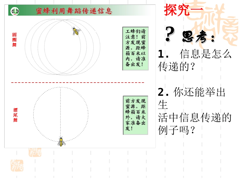 生态系统的信息传递_第3页