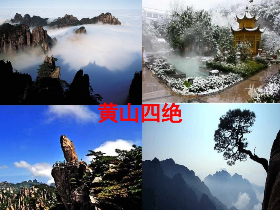 教科版四年级上黄山松_第2页