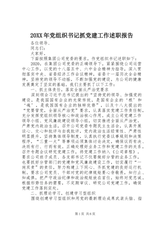 20XX年党组织书记抓党建工作述职报告