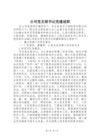 公司党支部书记党建述职