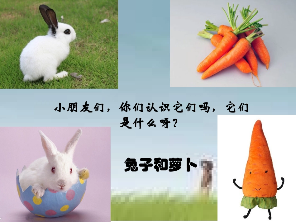 《大萝卜》(幼儿园小班下学期PPT课件)_第1页