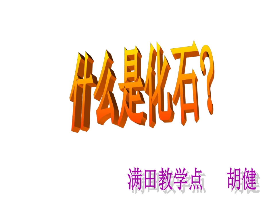 二年级语文上册《活化石》PPT课件_第1页