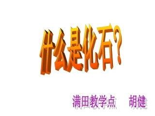 二年级语文上册《活化石》PPT课件