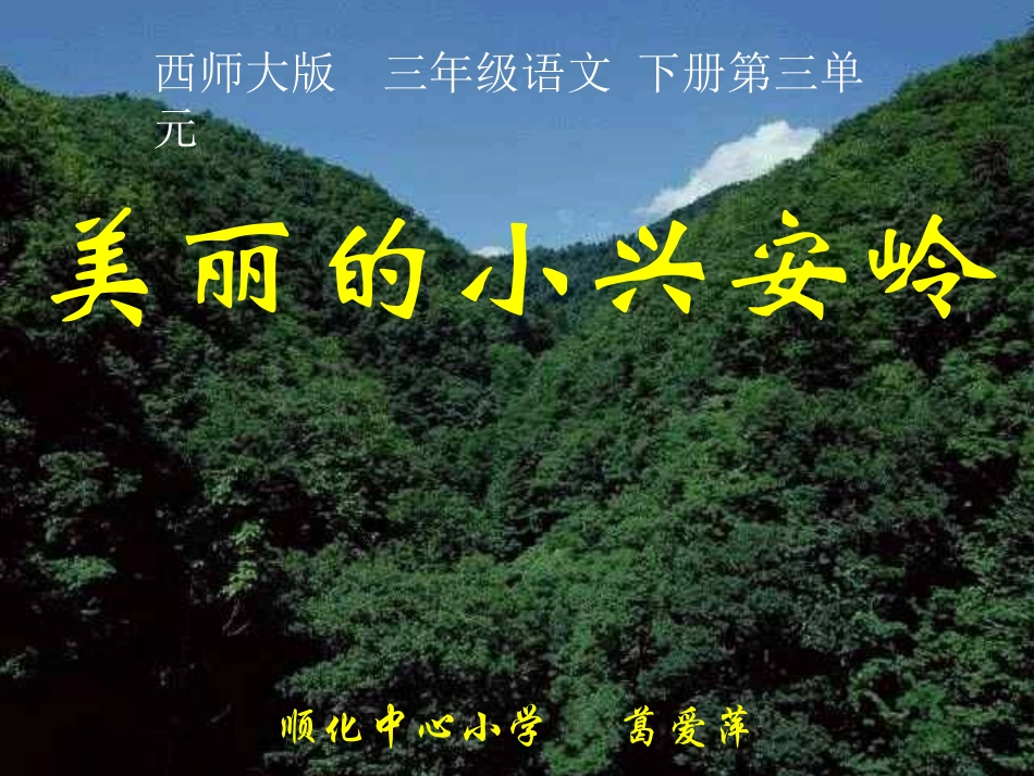 《美丽的小兴安岭》PPT课件_第1页