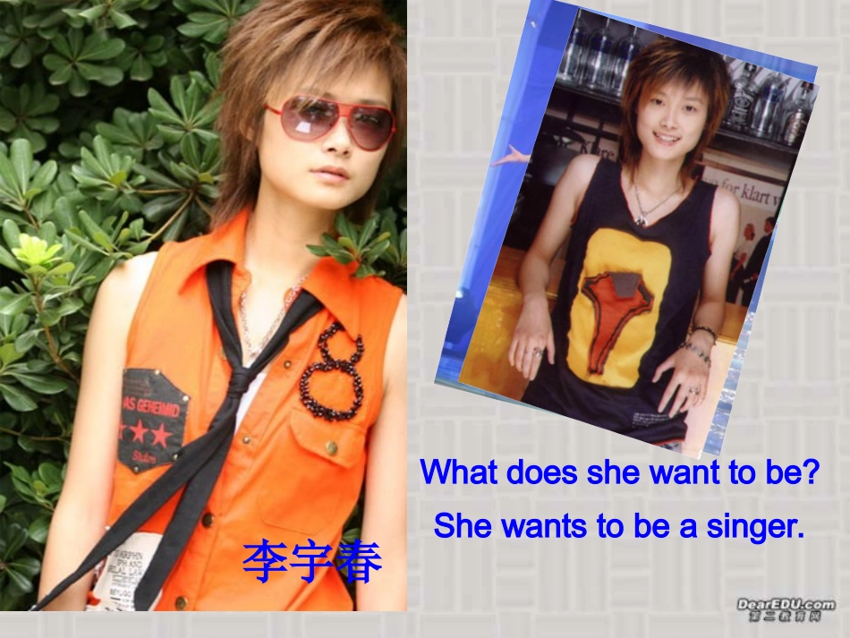 九年级英语Unit3_Reading_新课标_人教版111_第2页