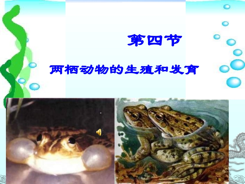 两栖动物的生殖和发育 (4)_第1页