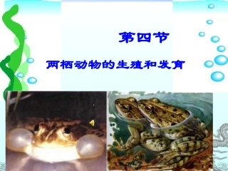 两栖动物的生殖和发育 (4)