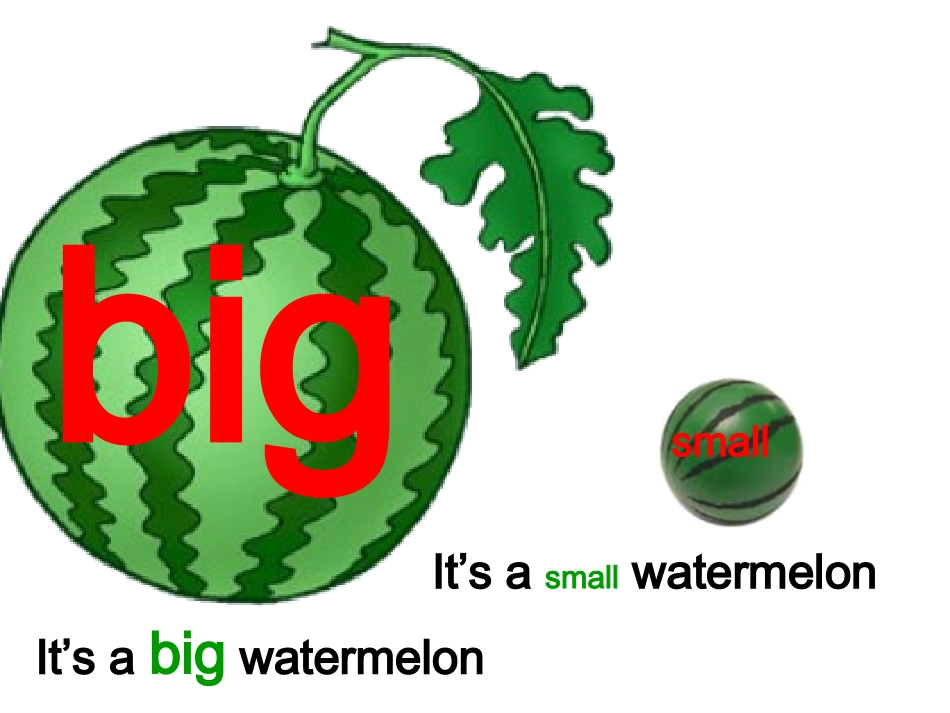 三年级下册atthezoo课件_第2页