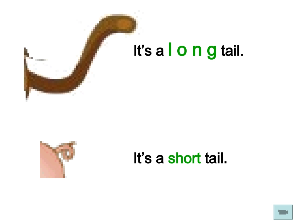 三年级下册atthezoo课件_第3页