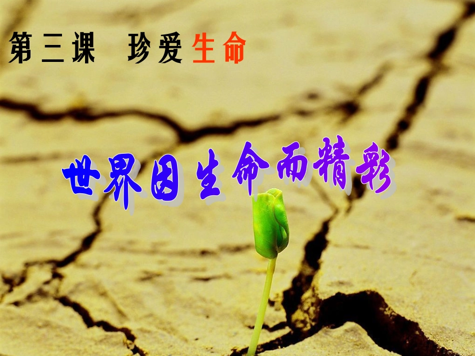 世界因生命而精彩 (2)_第1页