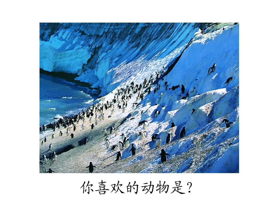 世界因生命而精彩 (2)_第2页