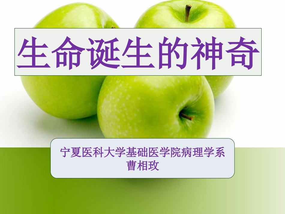 认识自己-解决学生怎样来的_第1页