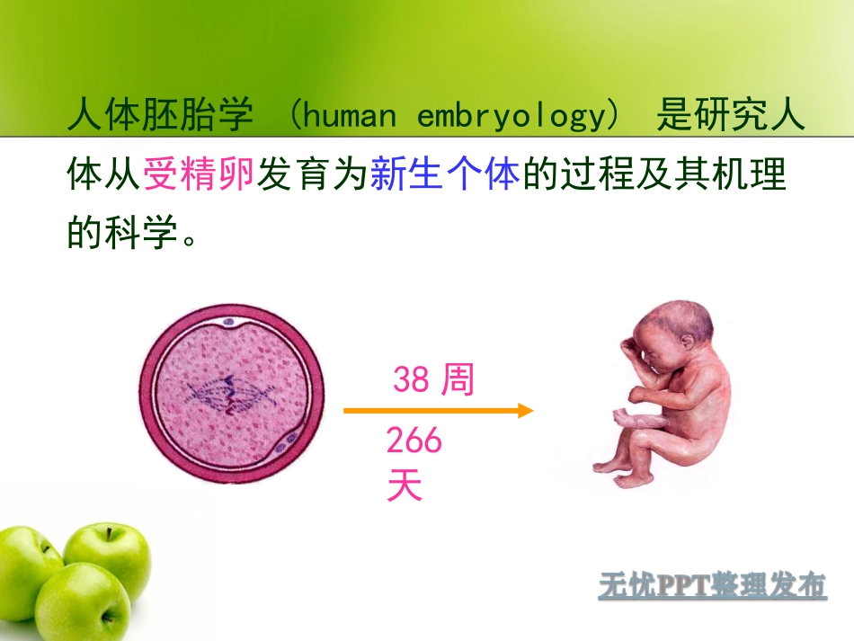 认识自己-解决学生怎样来的_第3页