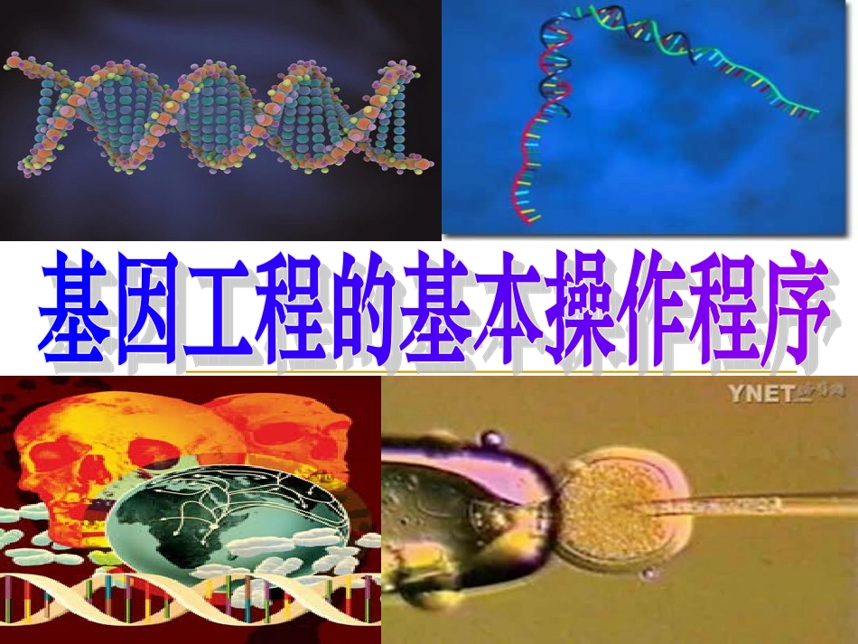 选修三12基因工程的基本操作程序_第1页